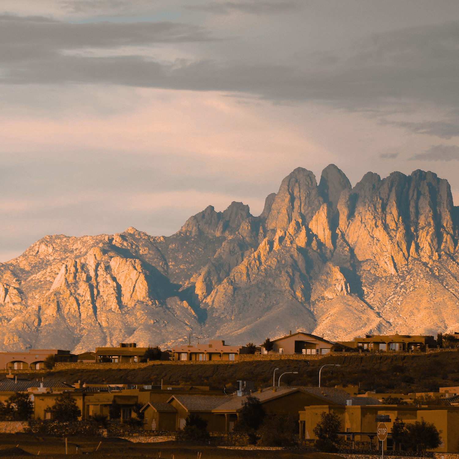 New Mexico desert landscape representing the local community Shape serves